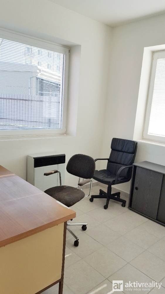 Pronájem komerčního prostoru 316 m² - foto 5