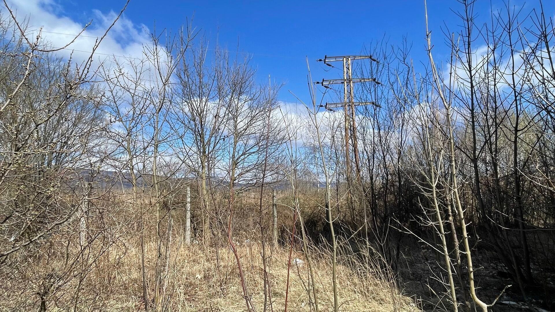 Prodej pozemku 84700 m² - foto 18