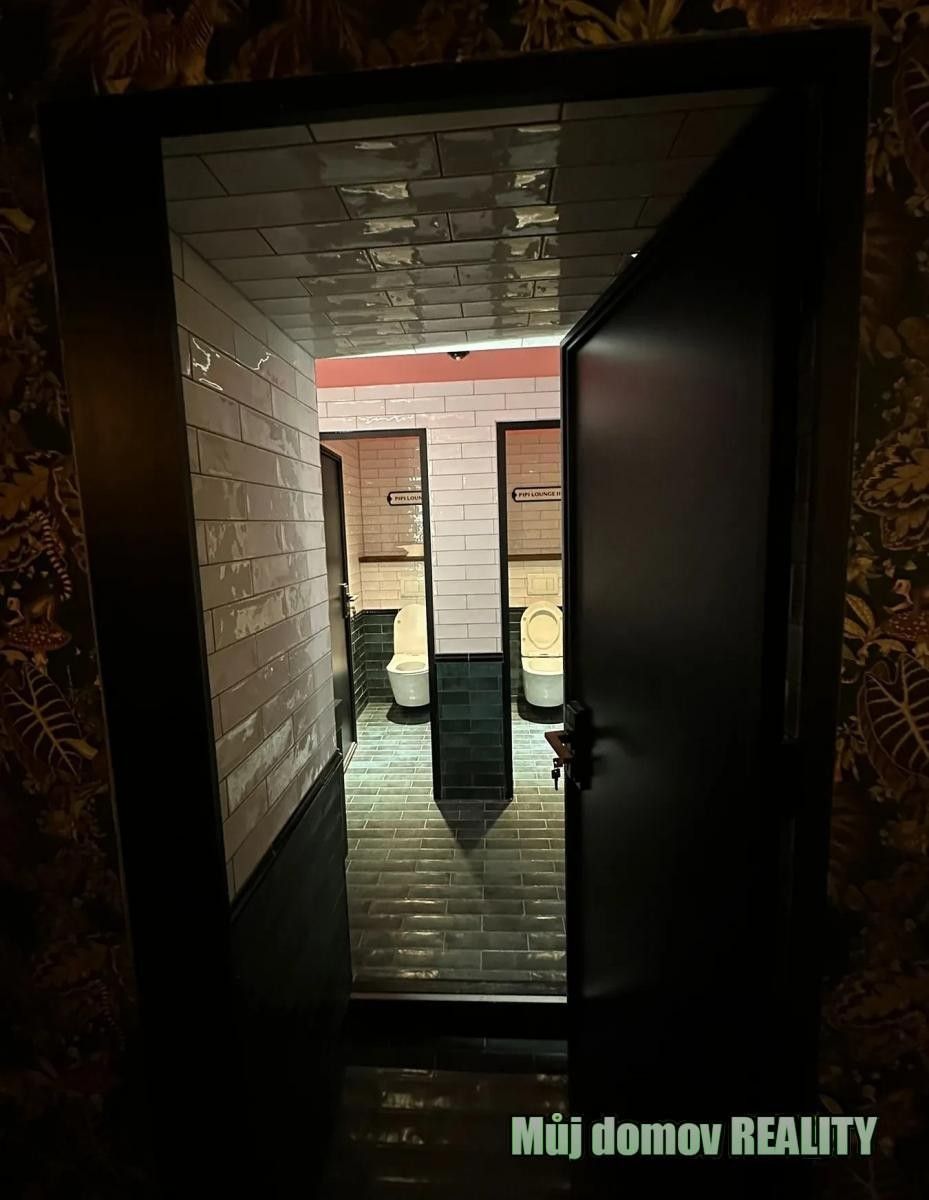 Pronájem komerčního prostoru 209 m² - foto 6