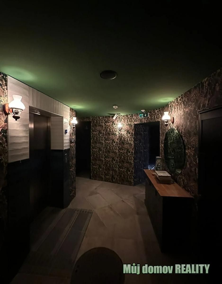 Pronájem komerčního prostoru 209 m² - foto 7