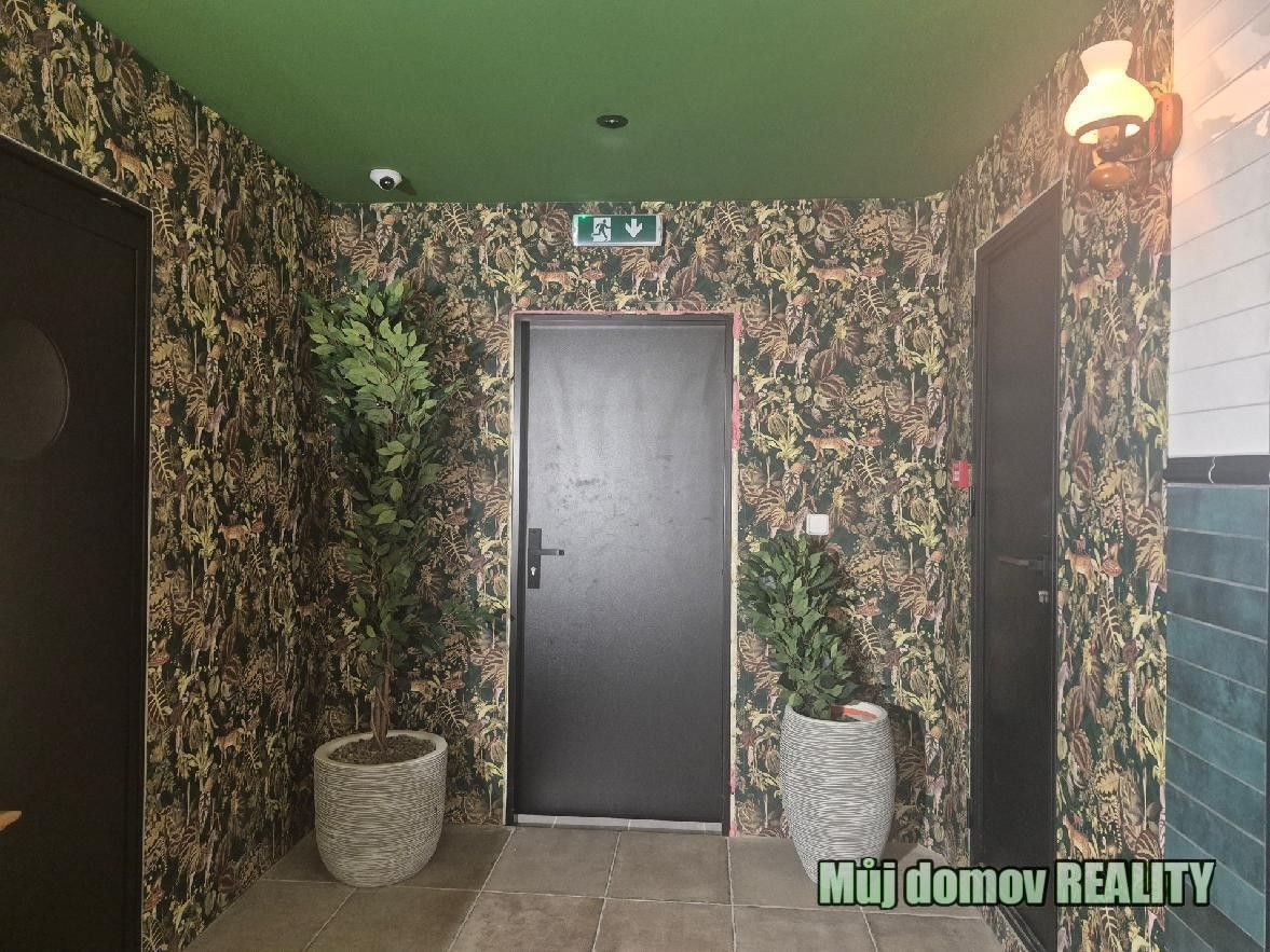 Pronájem komerčního prostoru 209 m² - foto 14