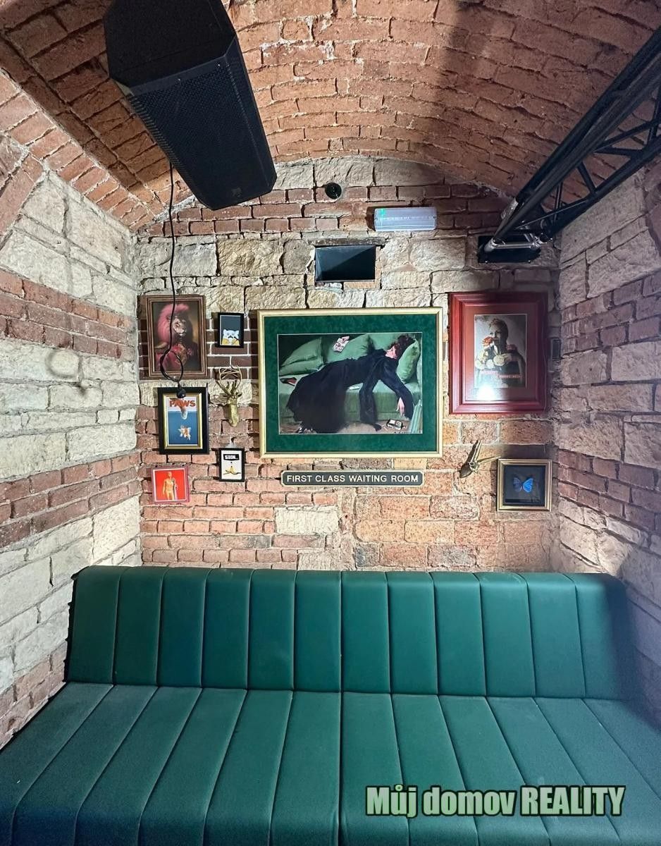 Pronájem komerčního prostoru 209 m² - foto 10