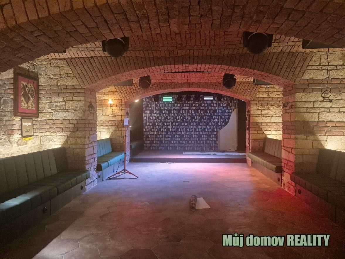 Pronájem komerčního prostoru 209 m² - foto 11