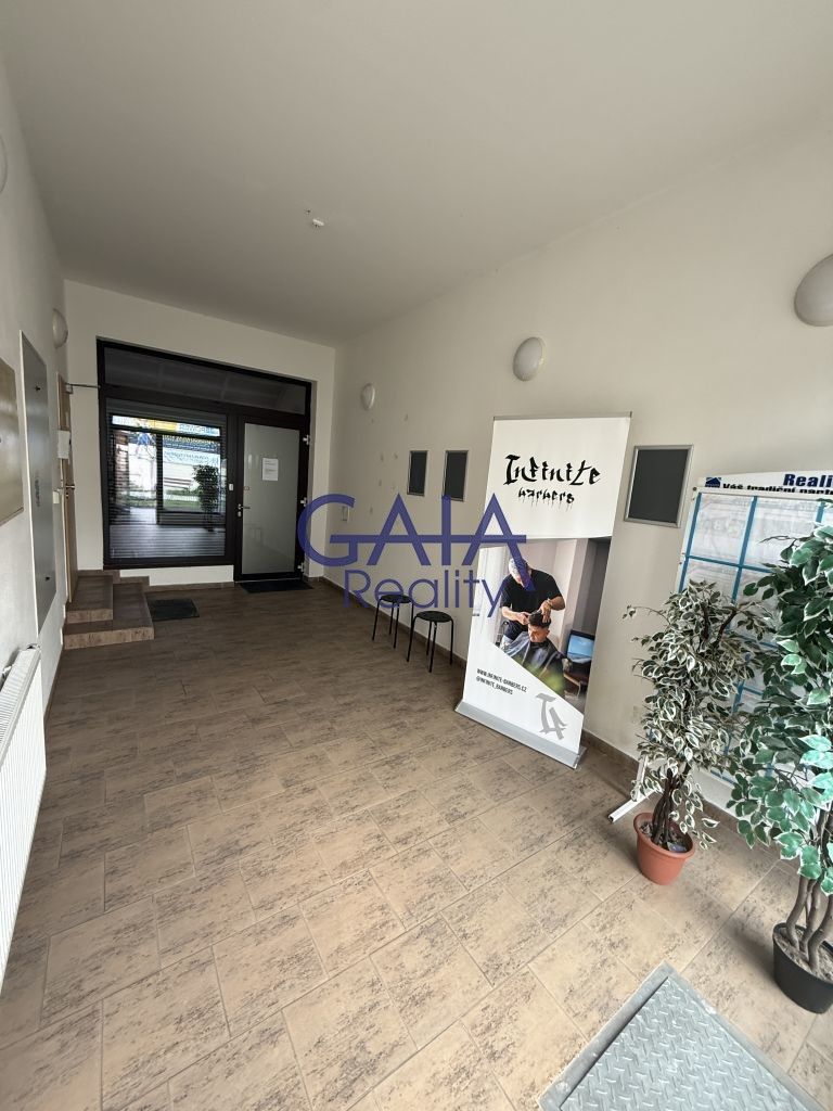 Pronájem komerčního prostoru 364 m² - foto 9