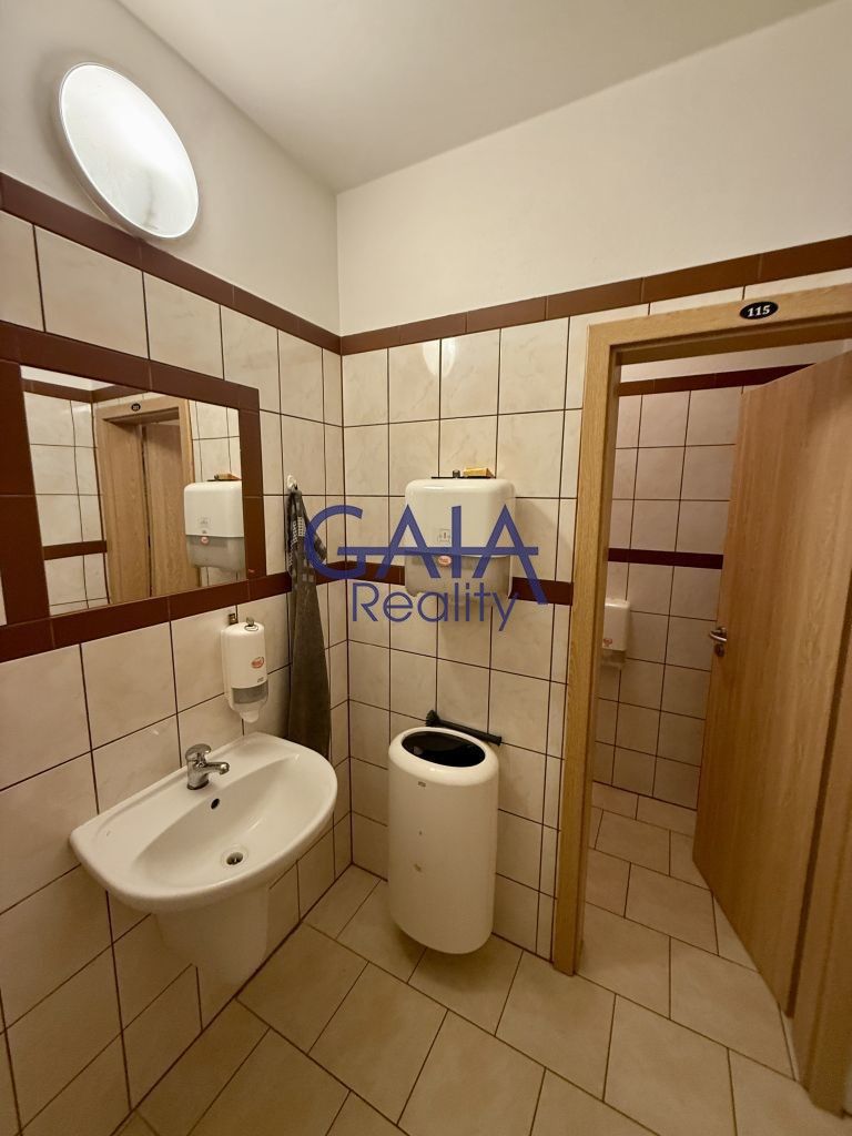 Pronájem komerčního prostoru 364 m² - foto 14