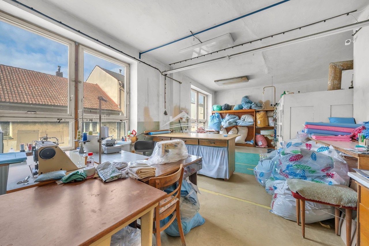 Prodej komerčního prostoru 750 m² - foto 4