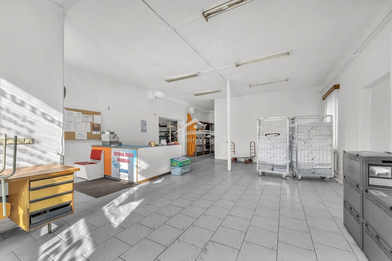Prodej komerčního prostoru 750 m² - foto 9