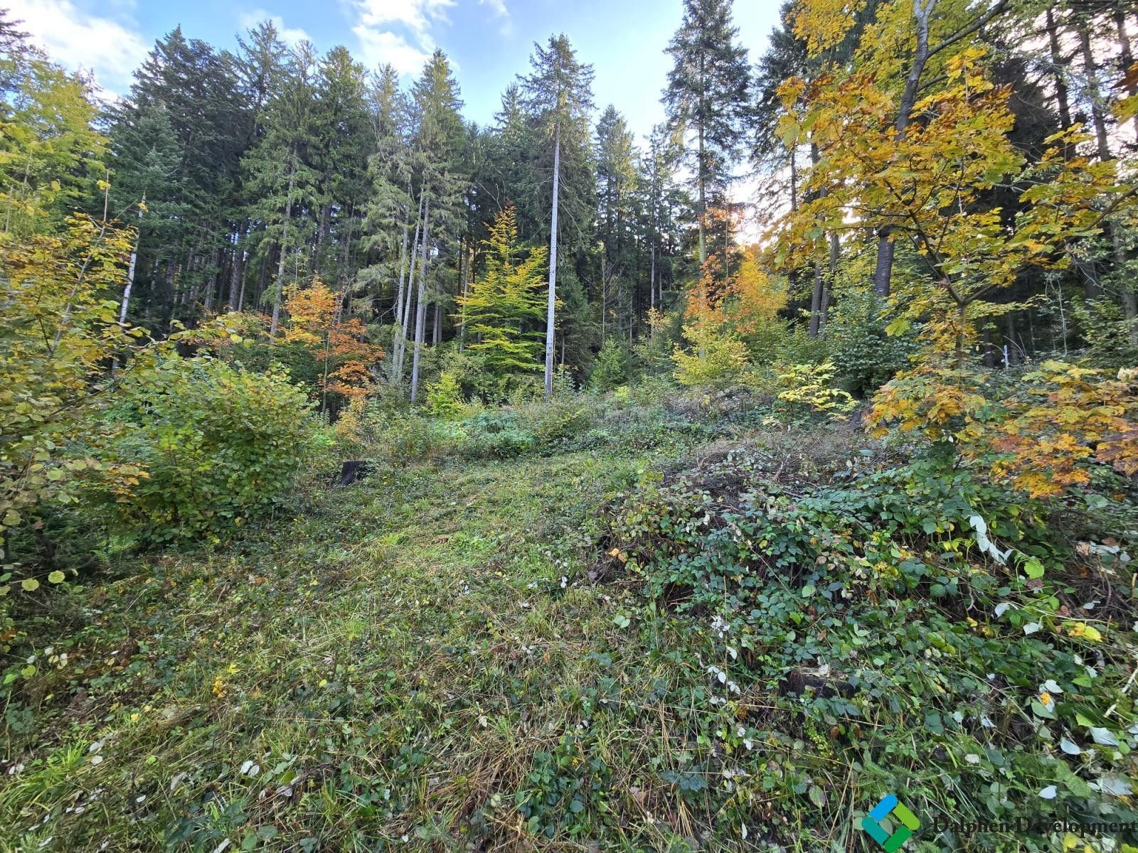 Prodej domu 45 m² - foto 14