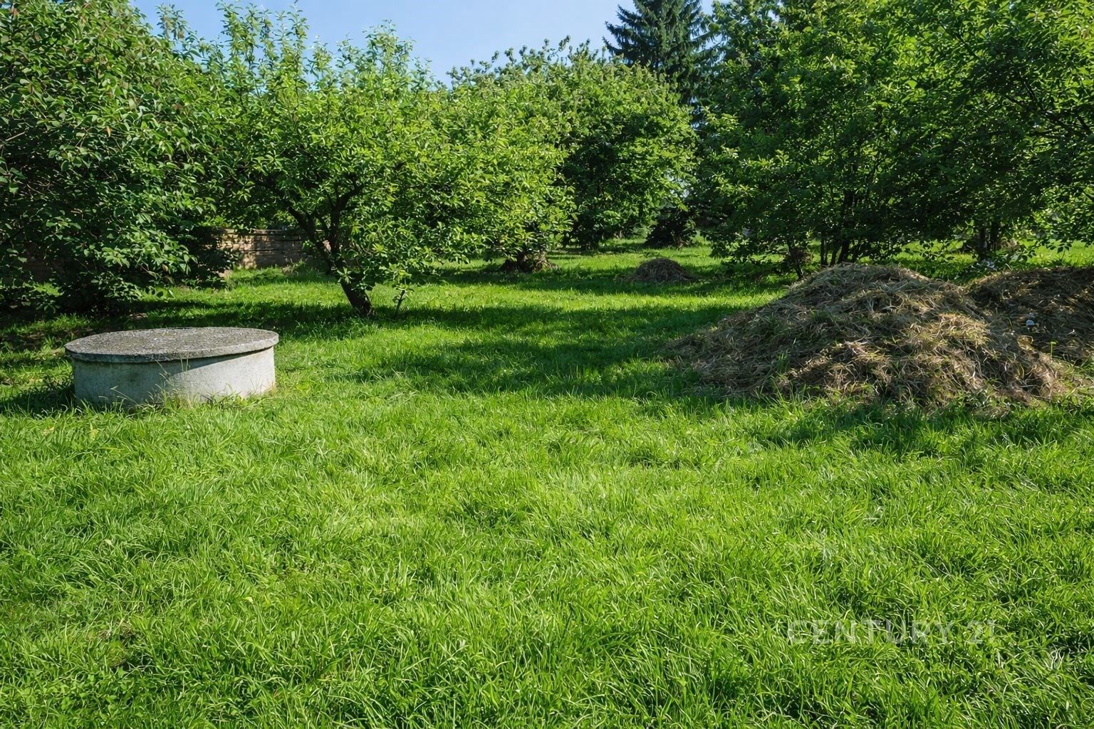 Prodej pozemku 1580 m² - foto 3