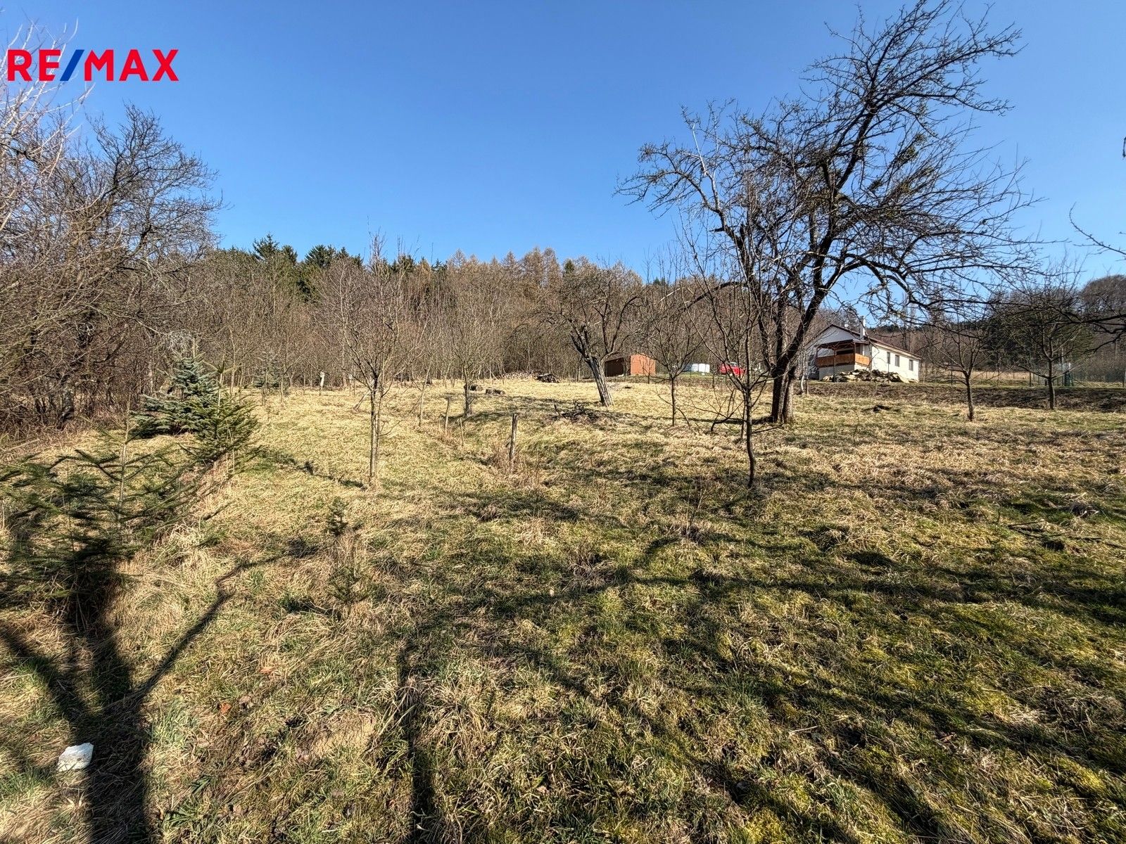 Prodej pozemku 1536 m² - foto 2