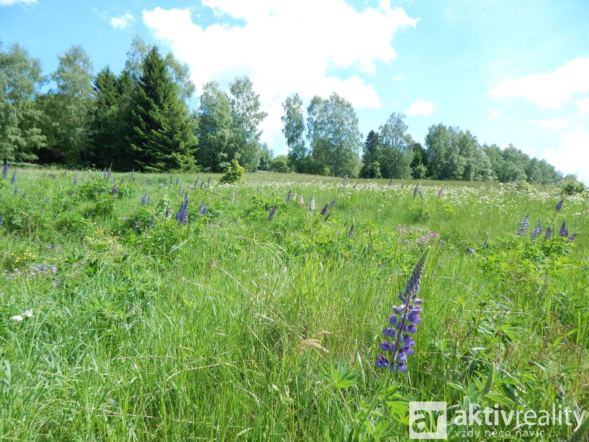 Prodej pozemku 1612 m² - foto 19