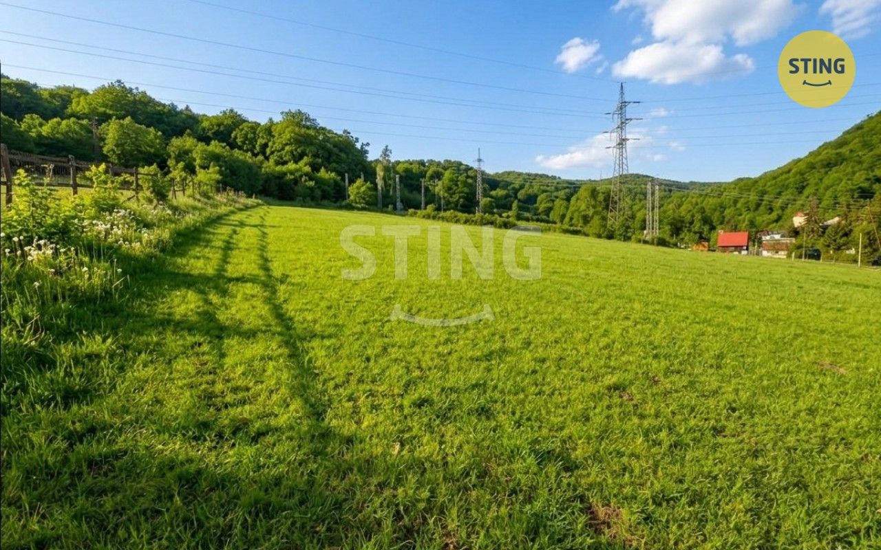 Prodej pozemku 8439 m² - foto 4