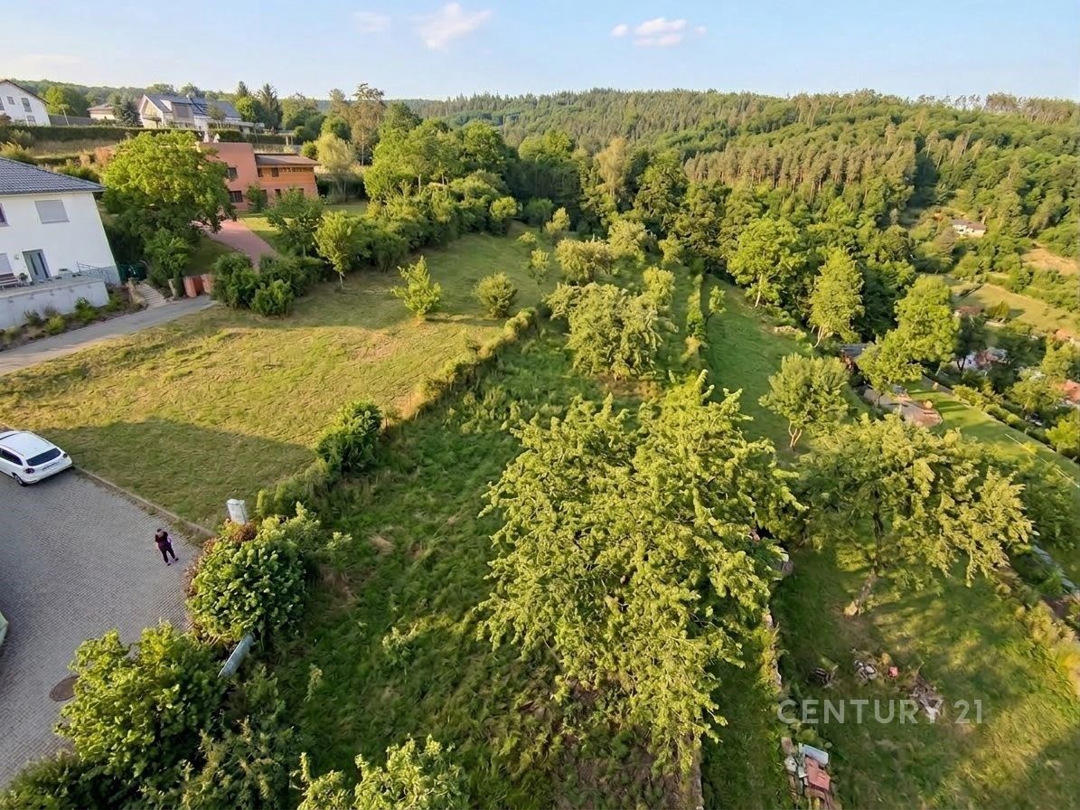 Prodej pozemku 1348 m² - foto 4