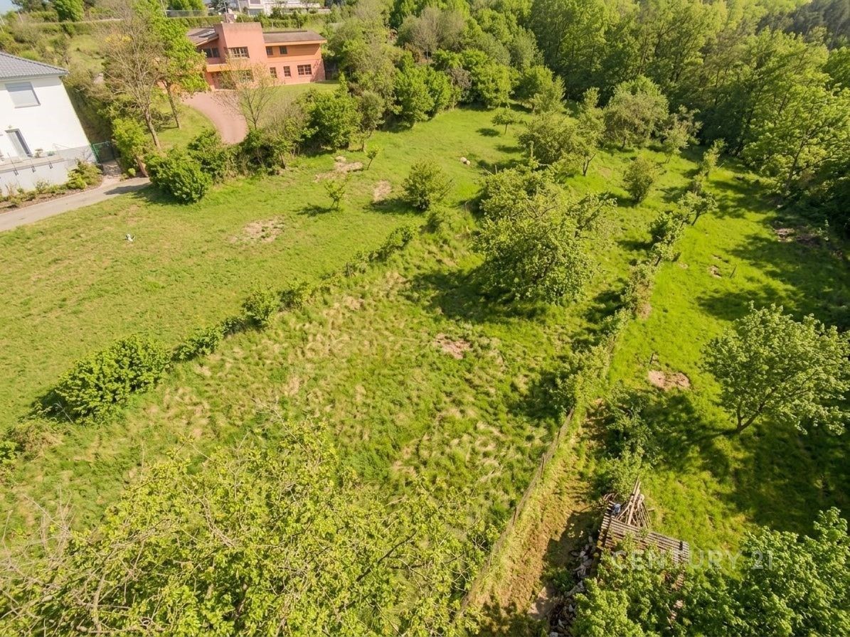 Prodej pozemku 1348 m² - foto 10