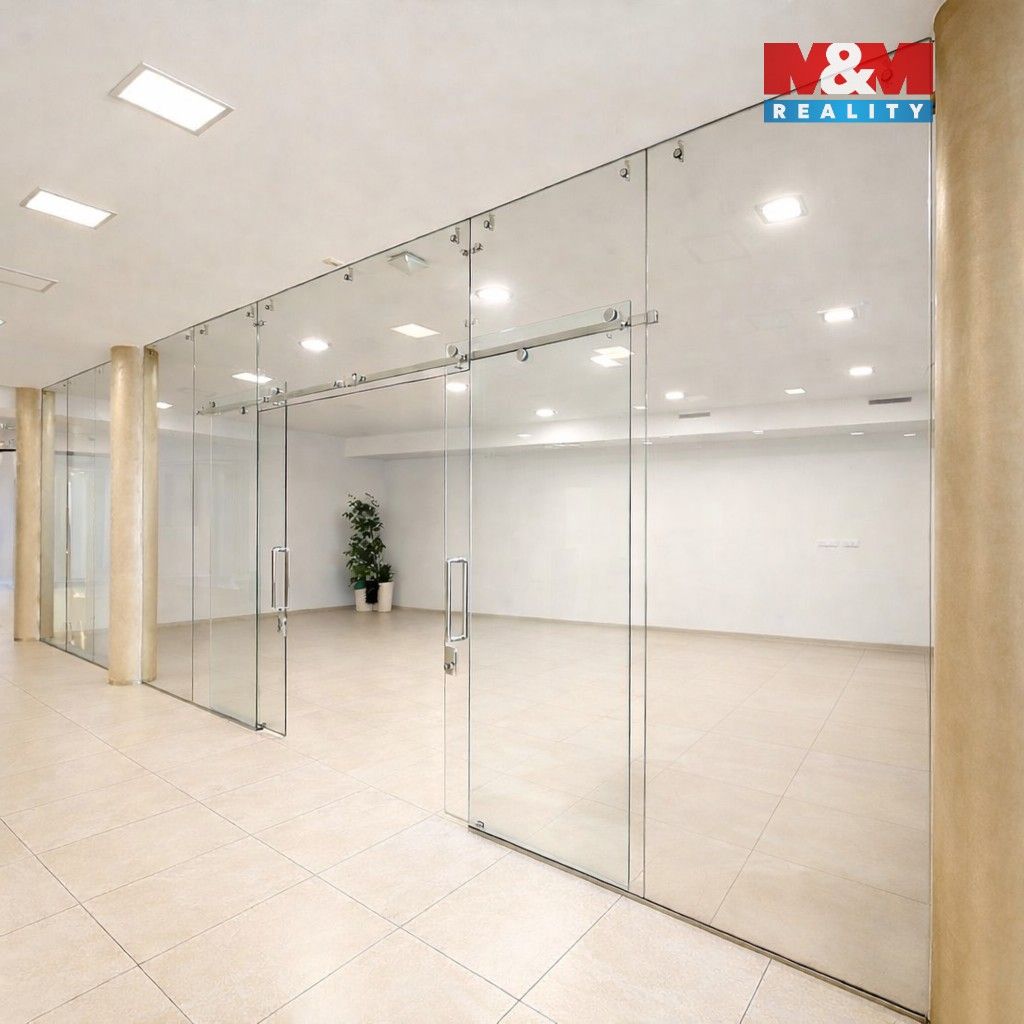 Pronájem komerčního prostoru 50 m² - foto 8