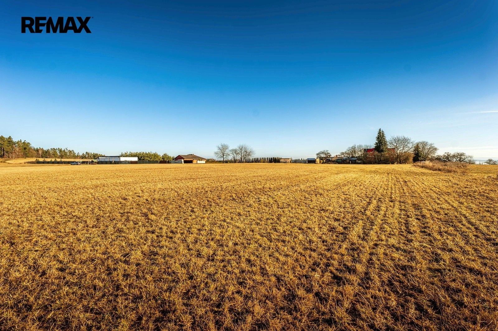 Prodej pozemku 8962 m² - foto 13