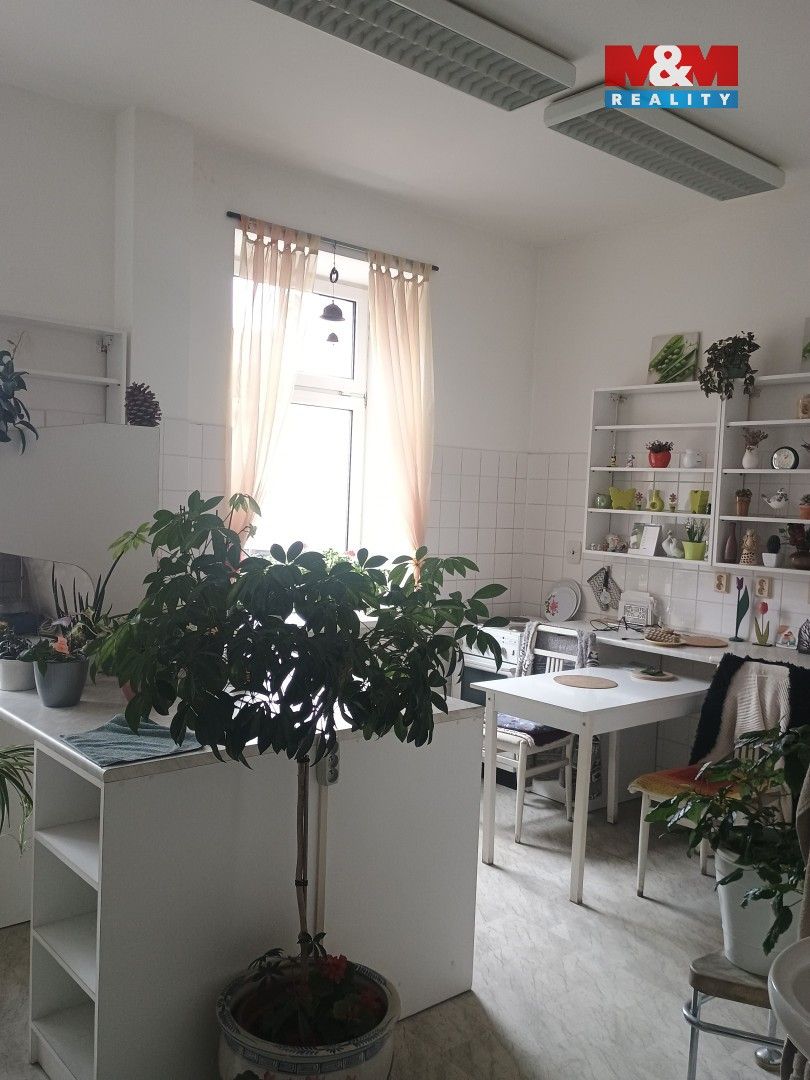 Pronájem komerčního prostoru 270 m² - foto 3