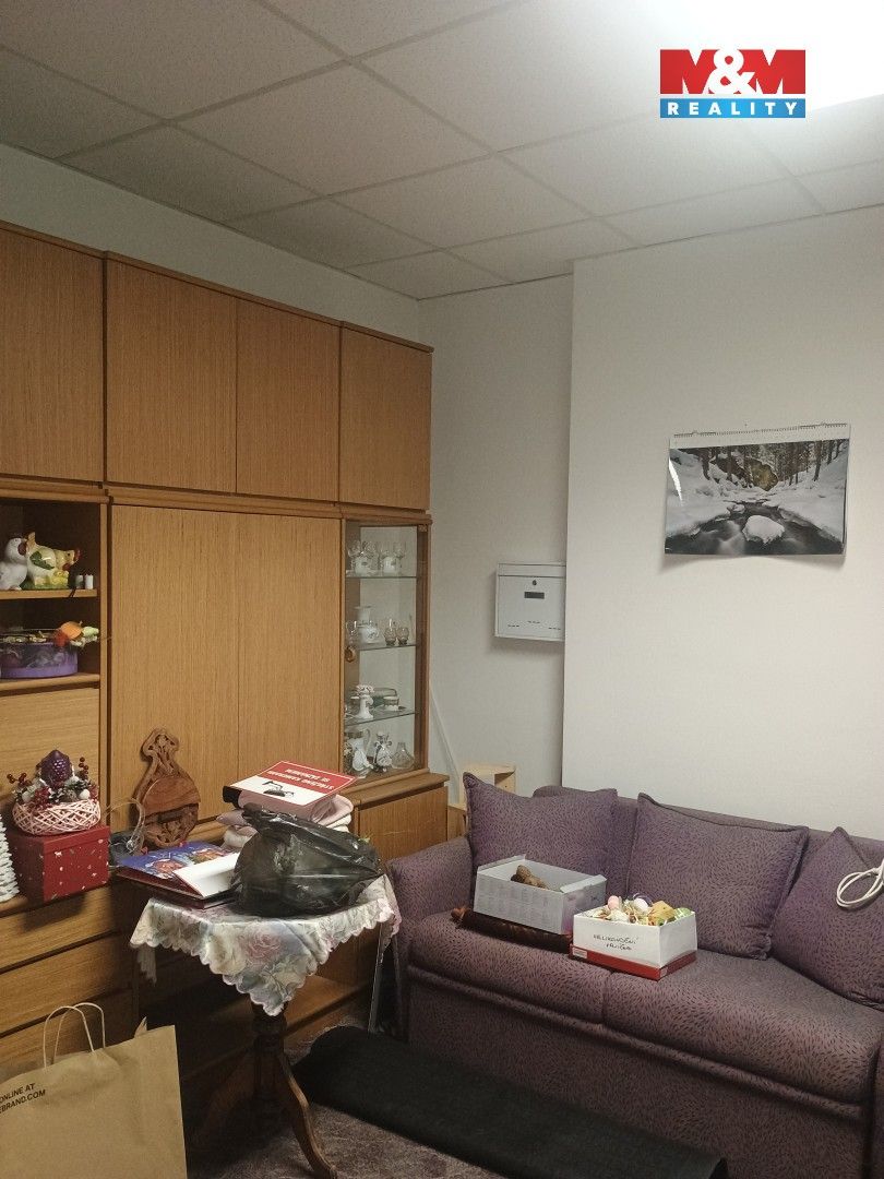 Pronájem komerčního prostoru 270 m² - foto 6