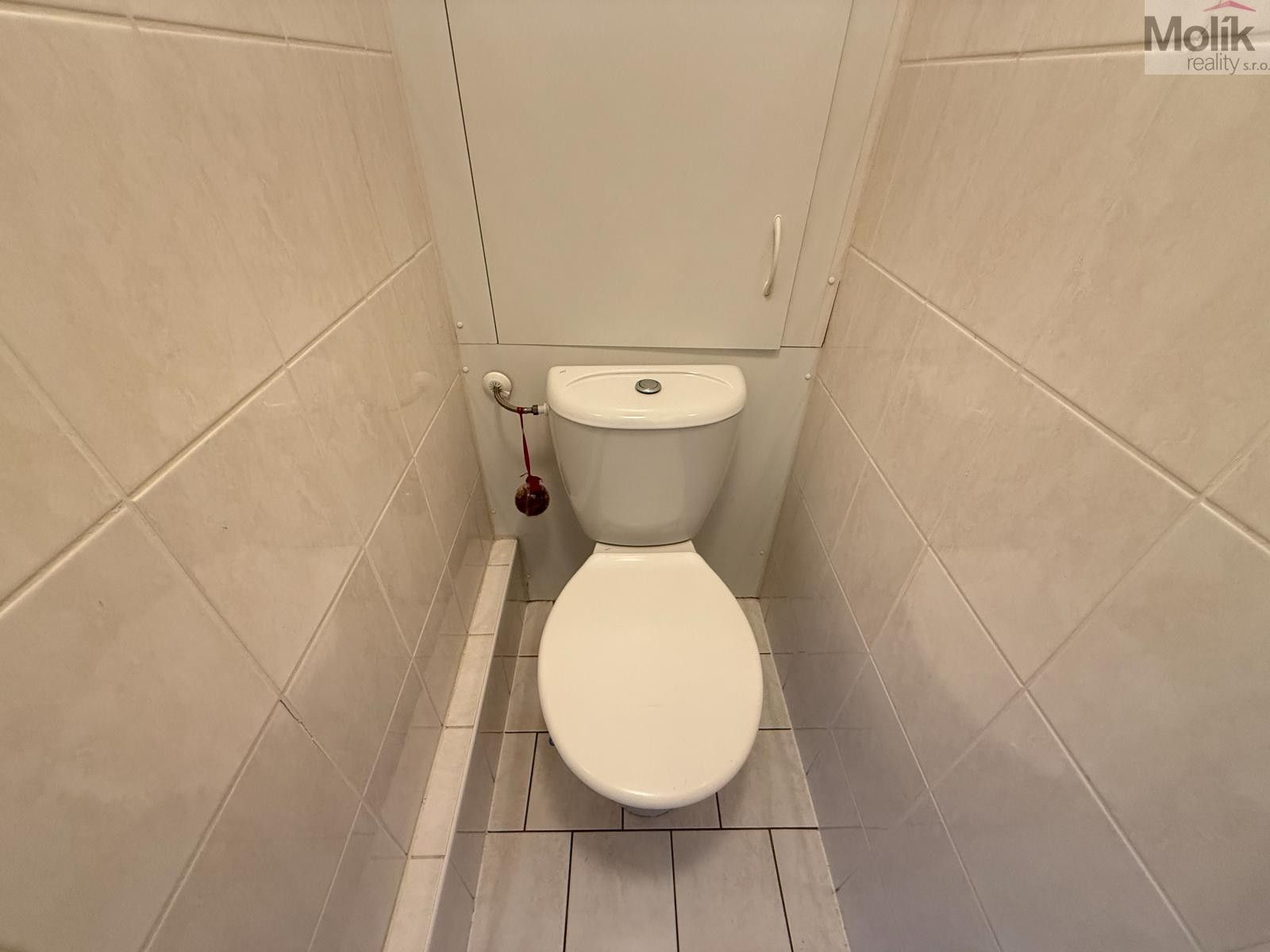 Pronájem bytu 2+1 52 m² - foto 11