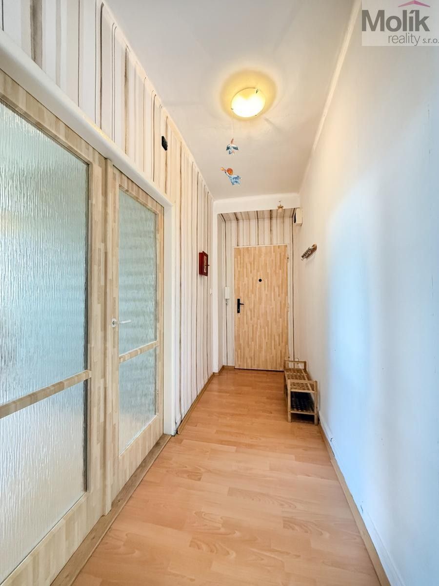 Pronájem bytu 2+1 52 m² - foto 17