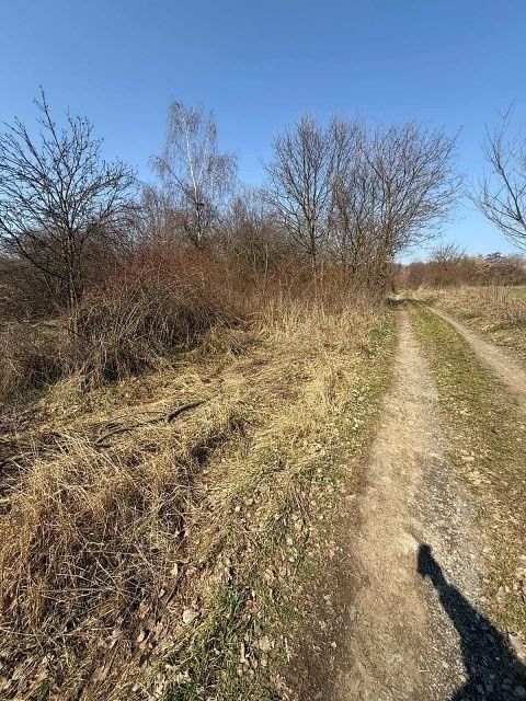 Prodej nemovitosti - foto 5