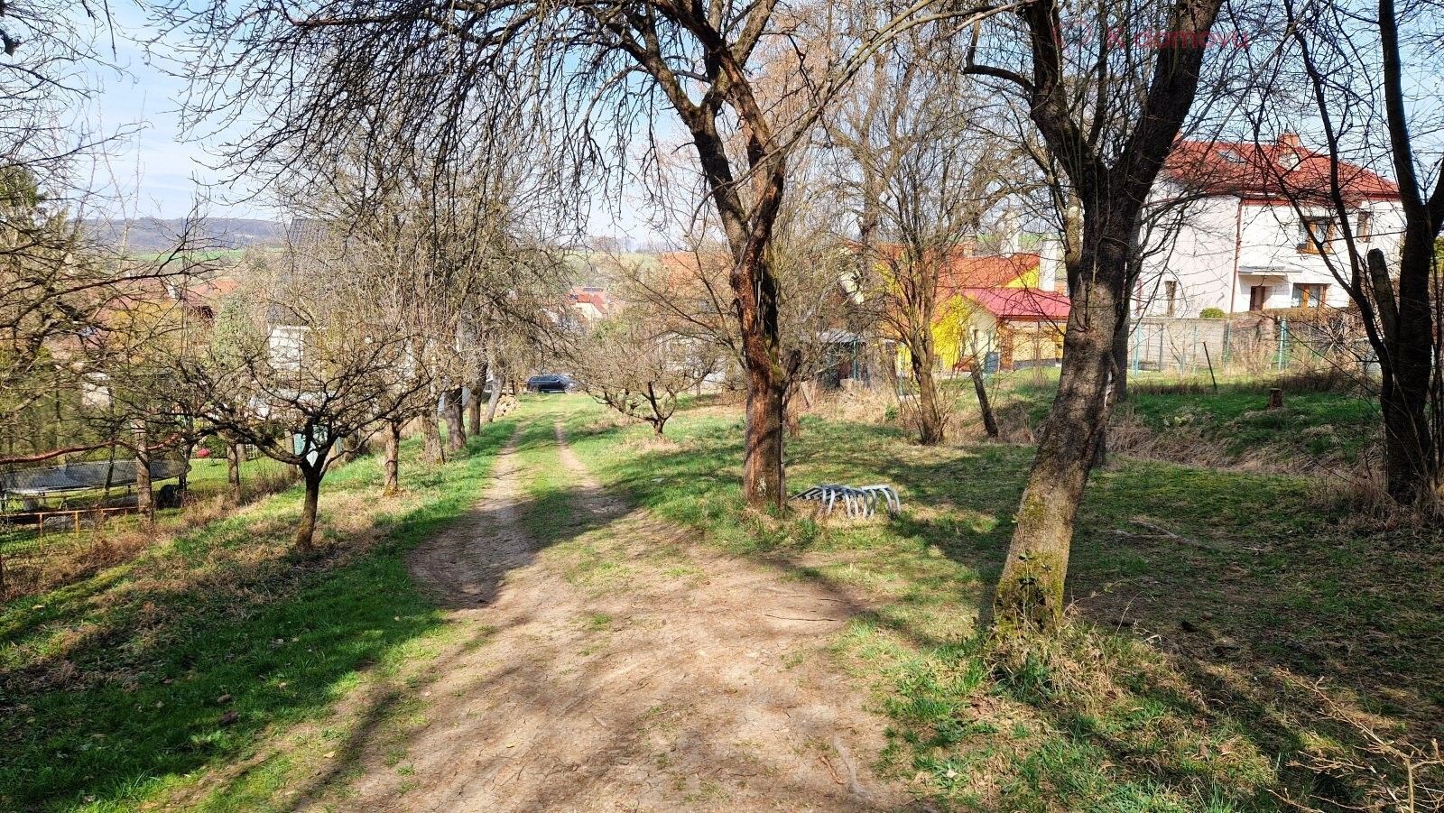 Prodej pozemku 2619 m² - foto 6