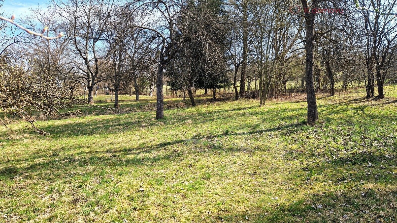 Prodej pozemku 2619 m² - foto 7