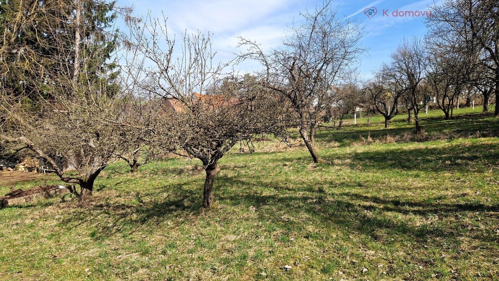 Prodej pozemku 2619 m² - foto 8