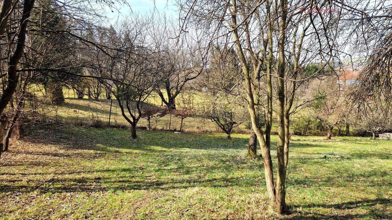 Prodej pozemku 2619 m² - foto 10