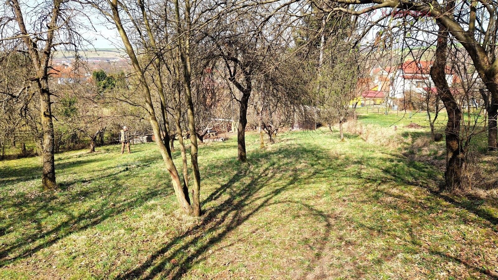 Prodej pozemku 2619 m² - foto 9