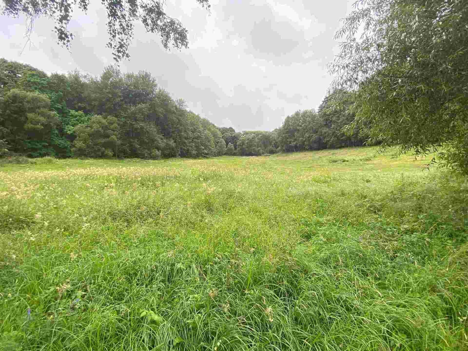 Prodej nemovitosti 1500 m² - foto 1