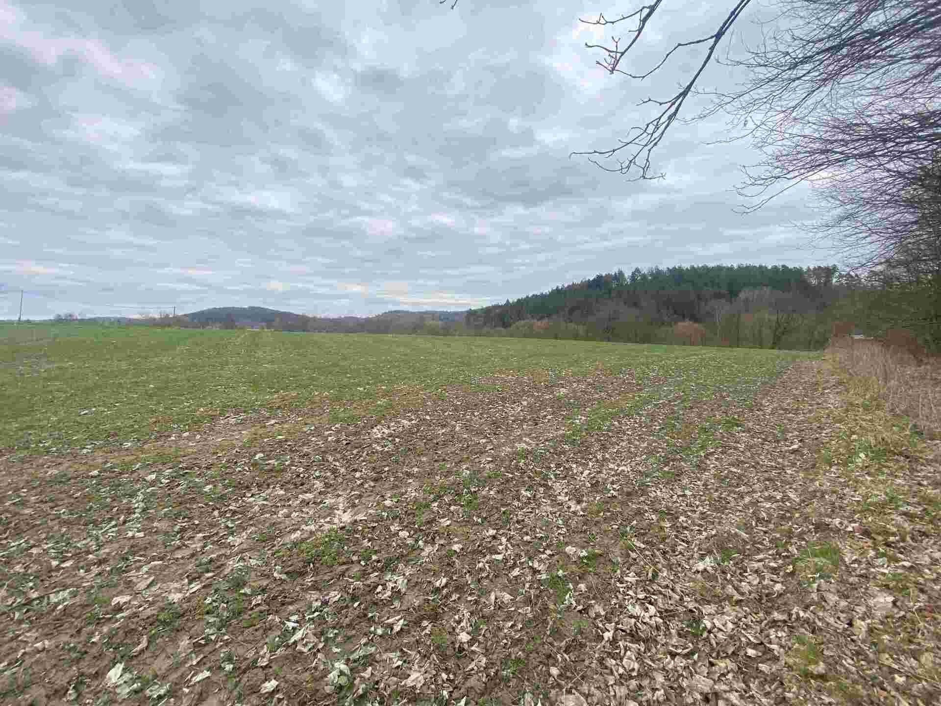 Prodej nemovitosti 4837 m² - foto 2