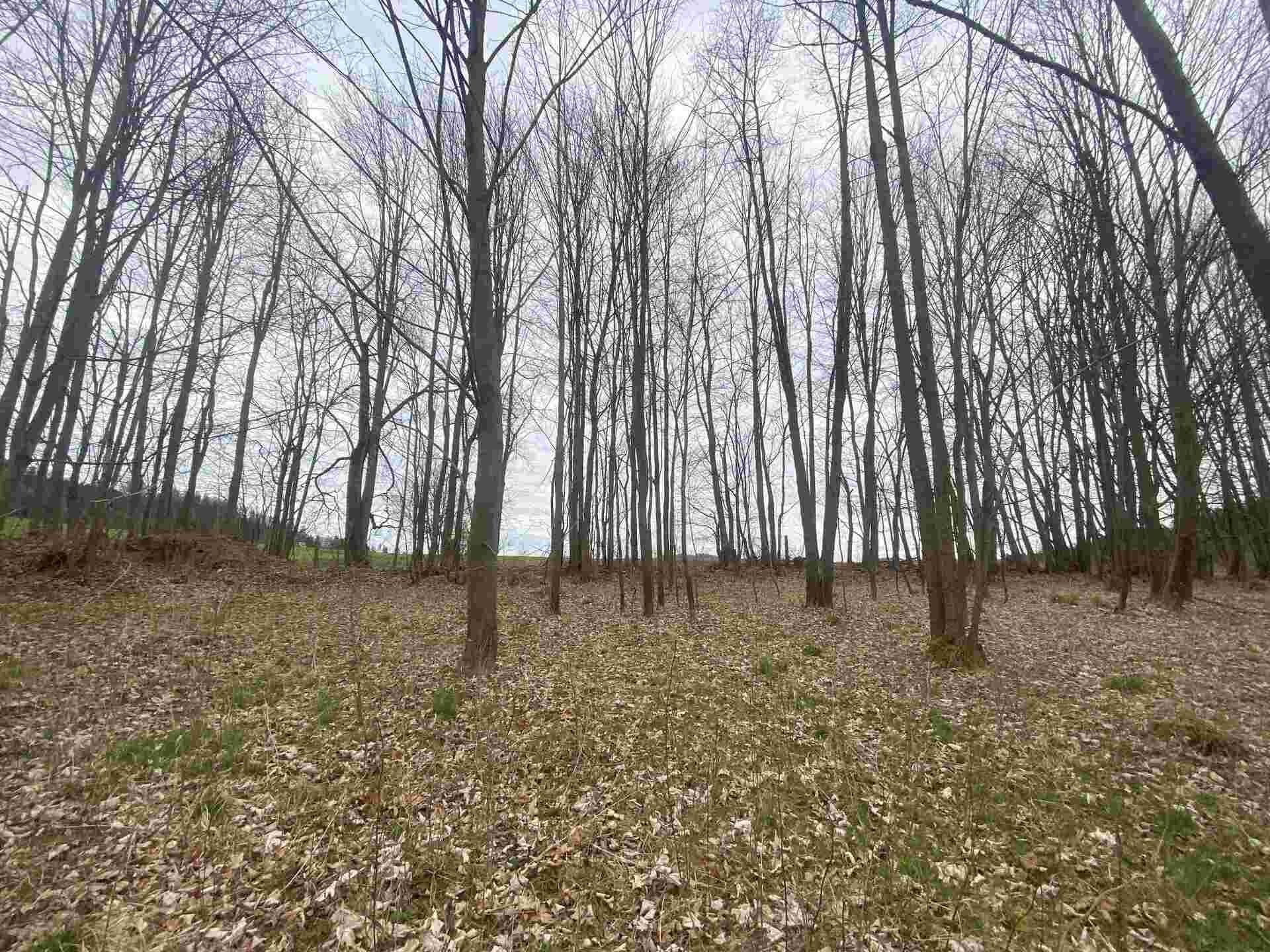 Prodej nemovitosti 4837 m² - foto 1