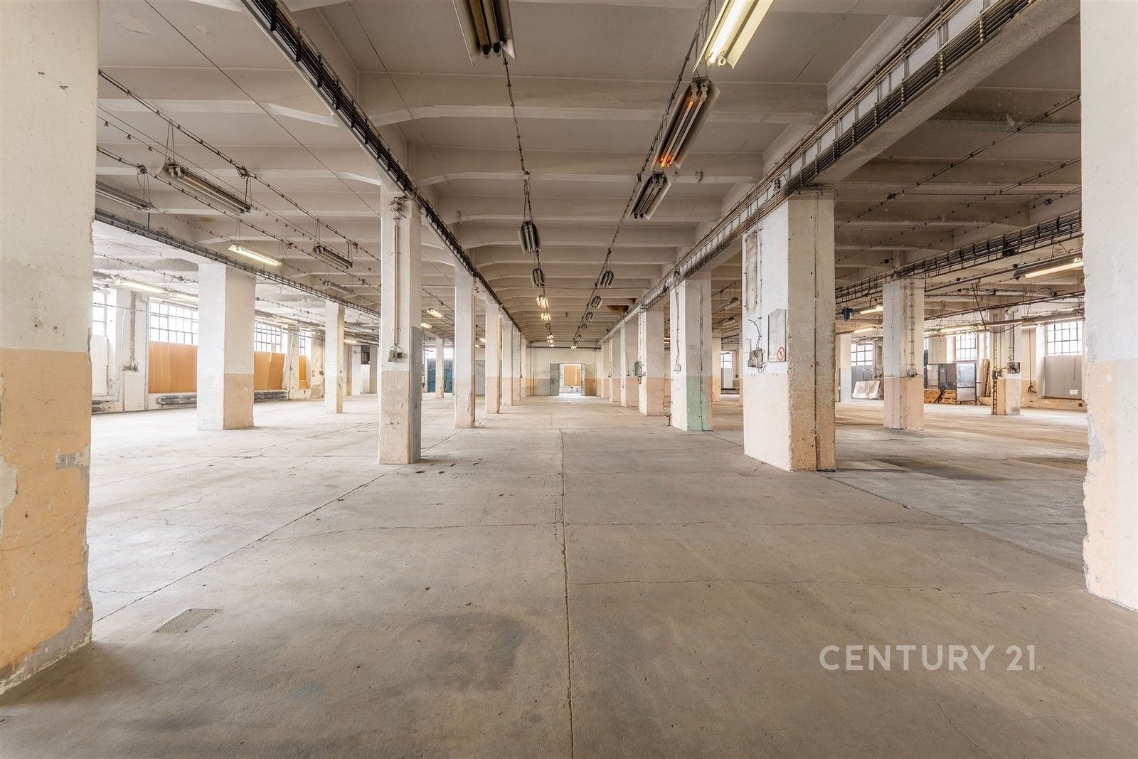 Pronájem komerčního prostoru 1800 m² - foto 2