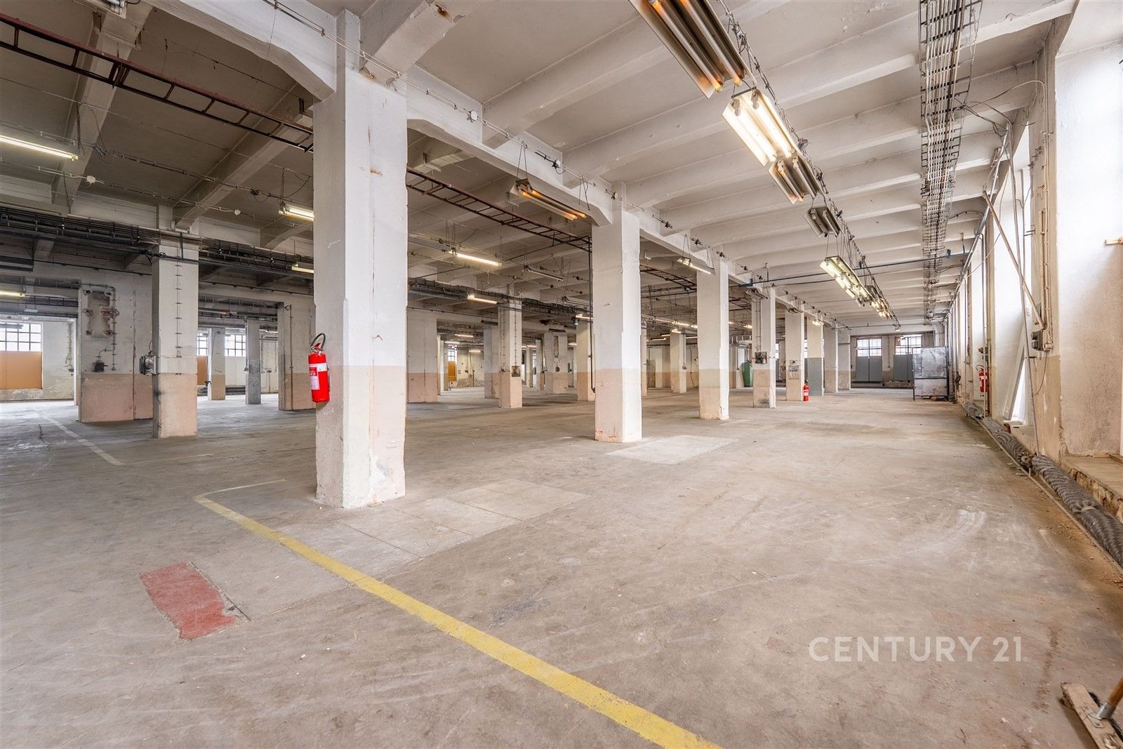 Pronájem komerčního prostoru 1800 m² - foto 3