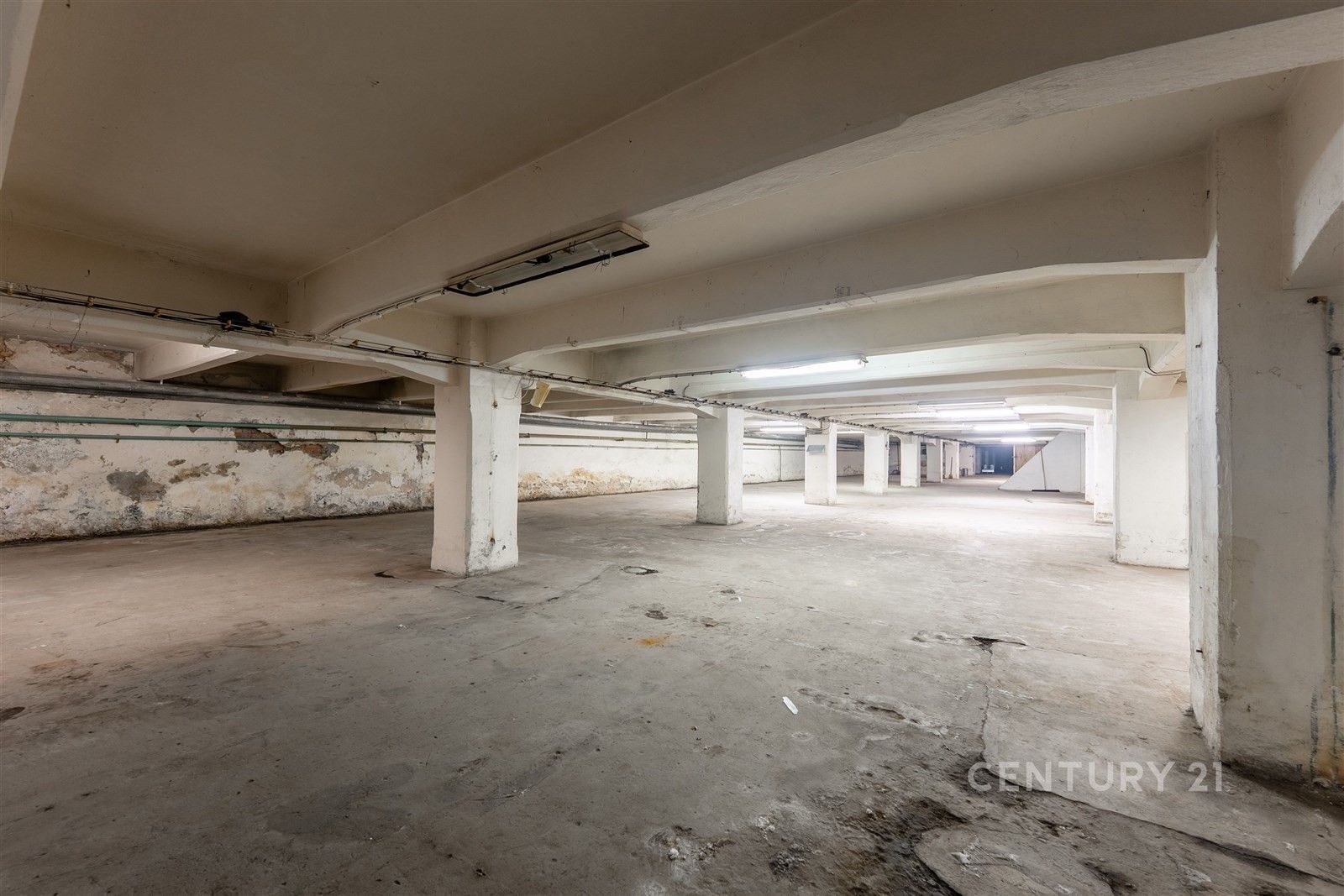 Pronájem komerčního prostoru 1800 m² - foto 6