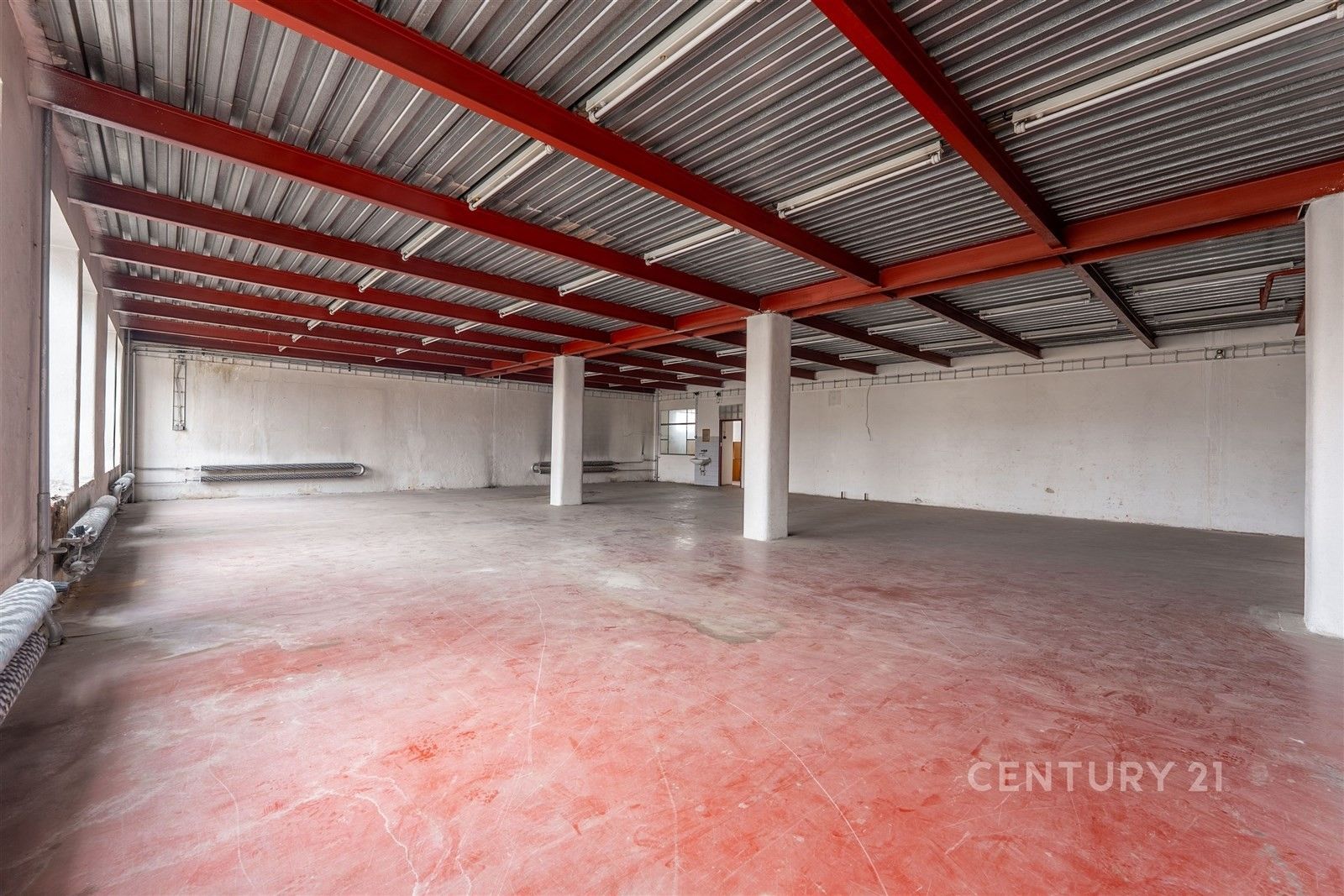 Pronájem komerčního prostoru 1800 m² - foto 8