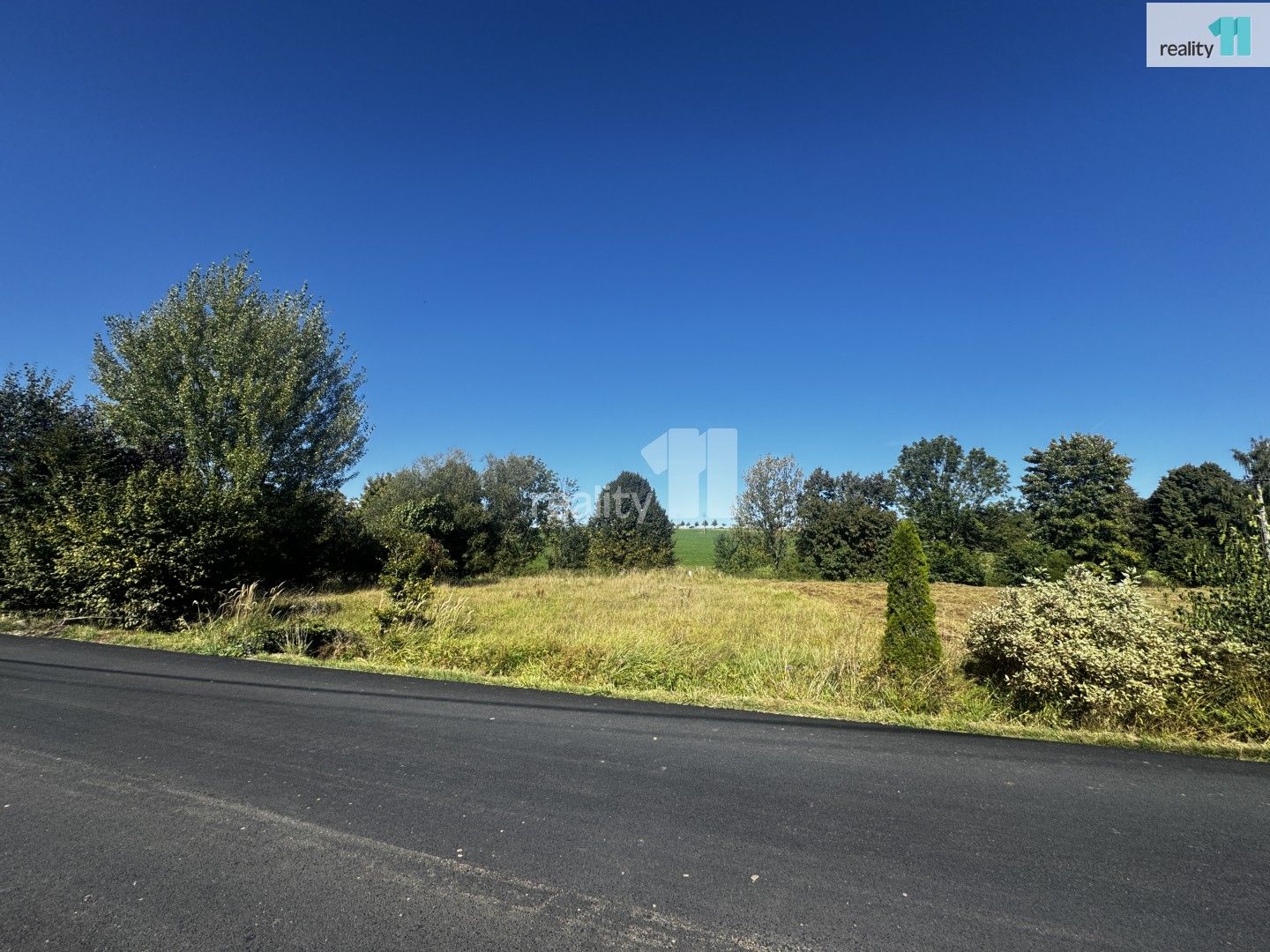 Prodej pozemku 3737 m² - foto 4