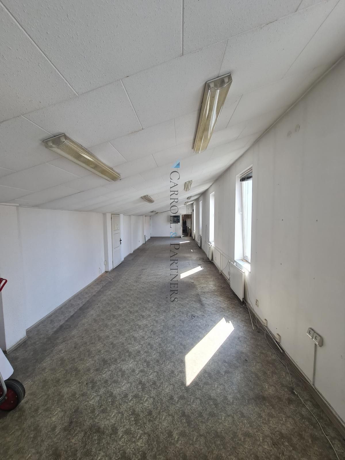 Pronájem komerčního prostoru 216 m² - foto 3