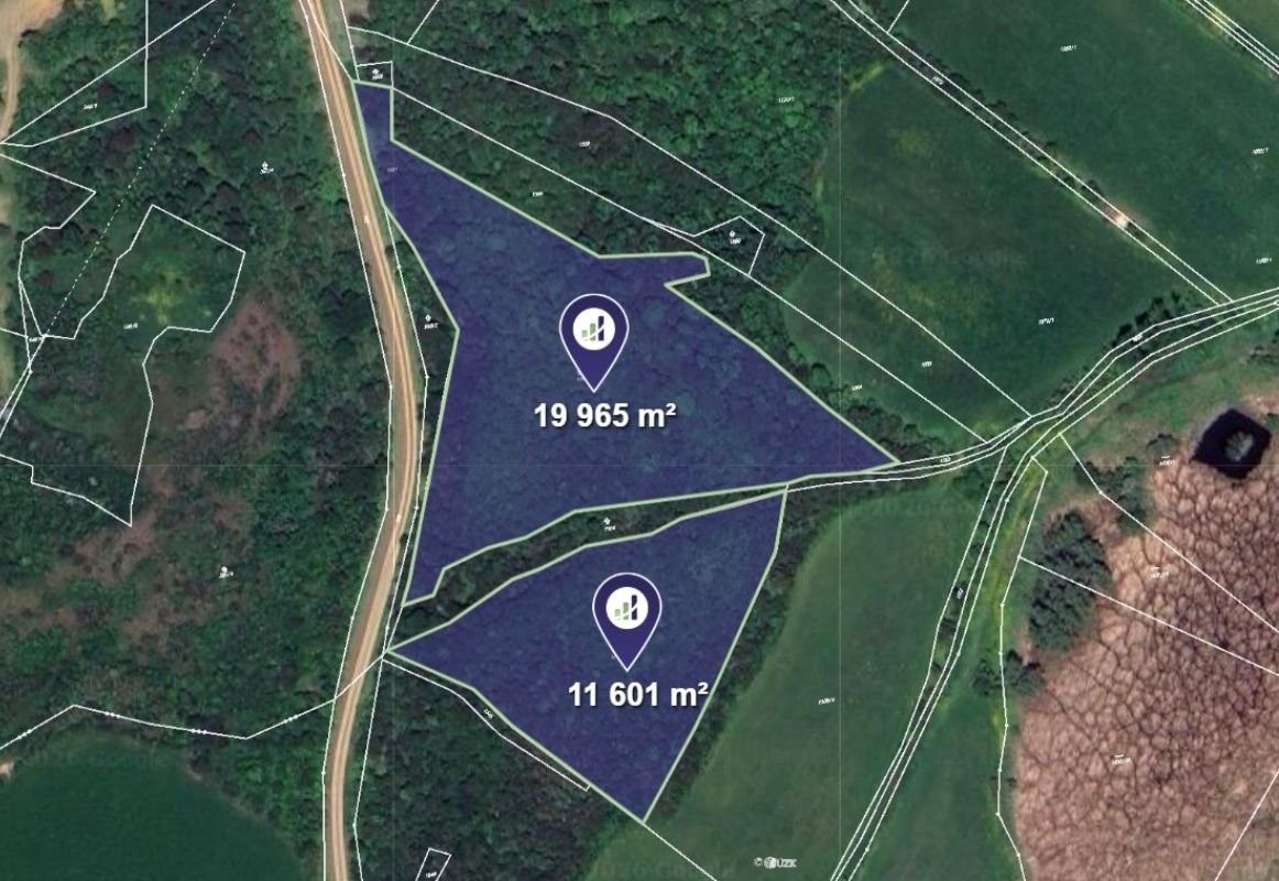 Prodej nemovitosti 55007 m² - foto 1