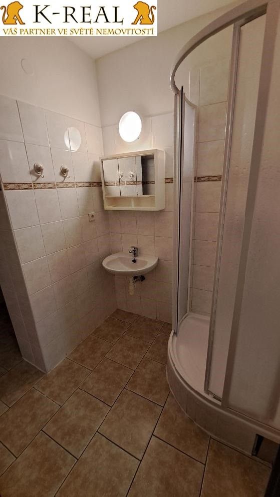 Pronájem bytu 1+kk 27 m² - foto 3