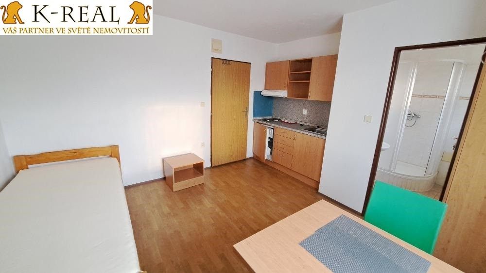 Pronájem bytu 1+kk 20 m² - foto 3