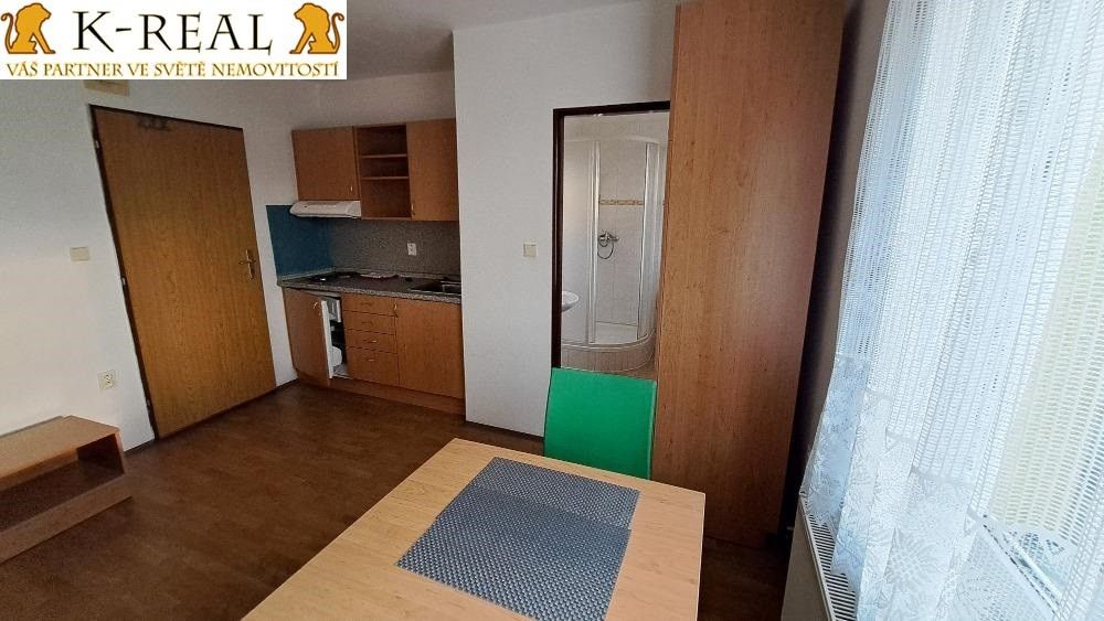 Pronájem bytu 1+kk 20 m² - foto 2