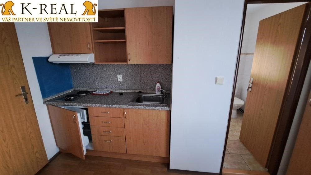 Pronájem bytu 1+kk 20 m² - foto 4