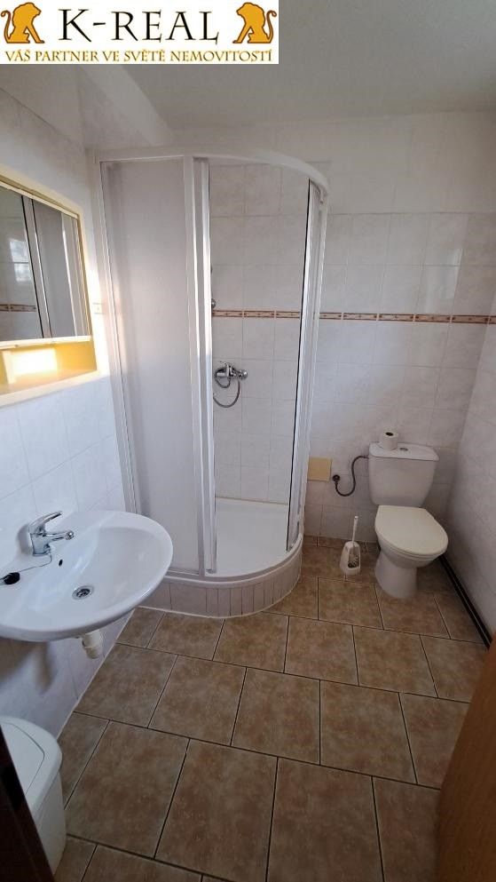 Pronájem bytu 1+kk 20 m² - foto 6
