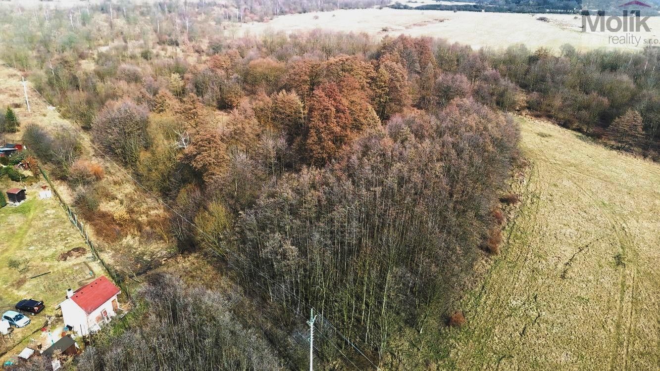 Prodej pozemku 25190 m² - foto 4