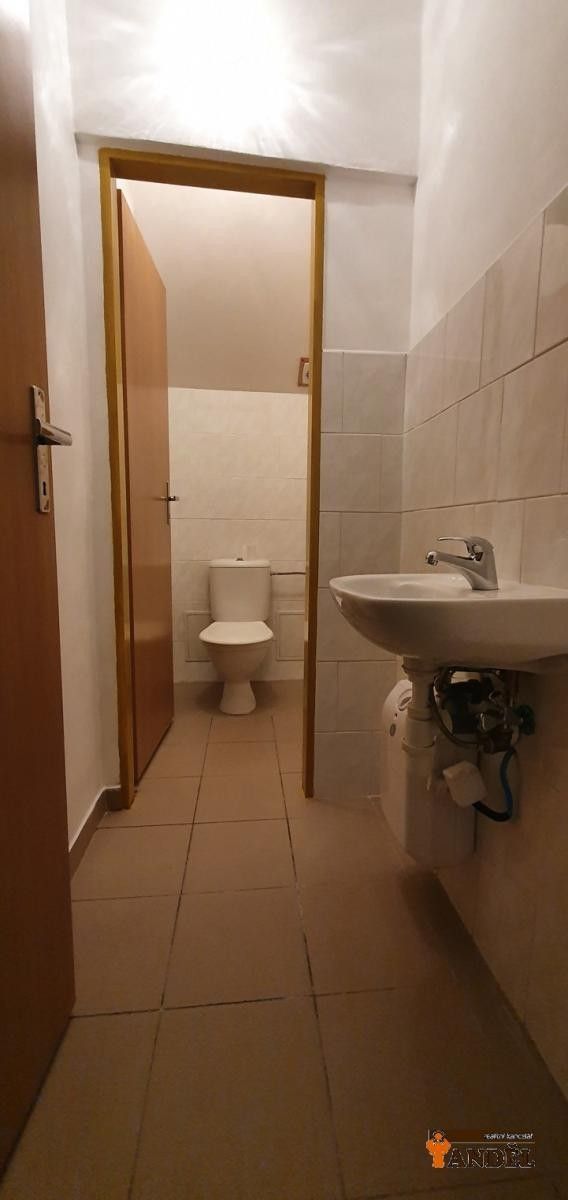 Pronájem komerčního prostoru 12 m² - foto 6