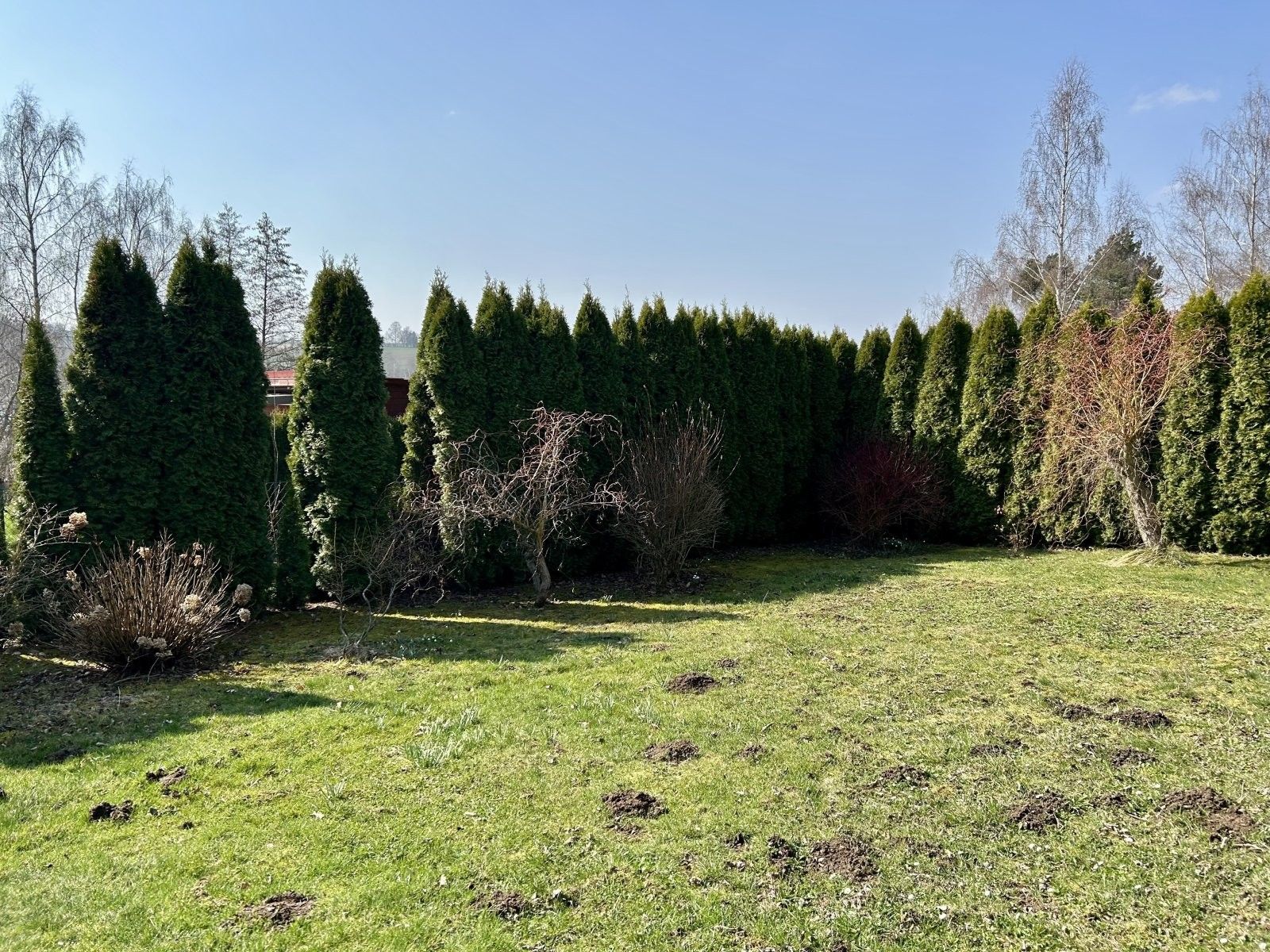 Prodej domu 48 m² - foto 19