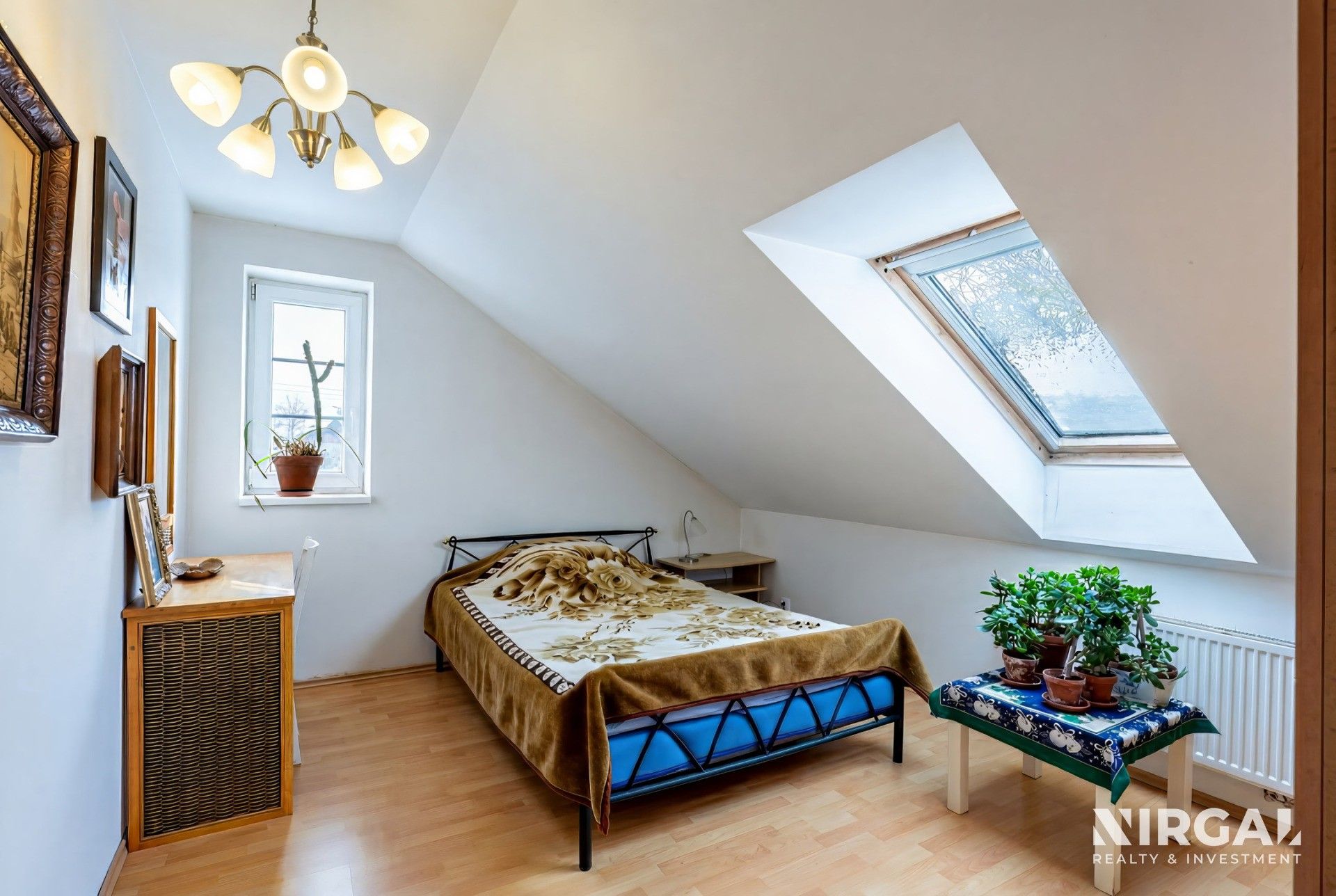 Prodej nemovitosti 952 m² - foto 13