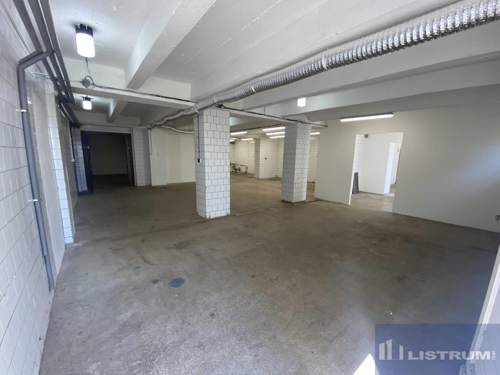 Pronájem komerčního prostoru 240 m² - foto 5